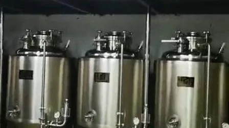 SUS304 SUS316 Equipamento de fermentação de cerveja em aço inoxidável Equipamento para fabricação de cerveja